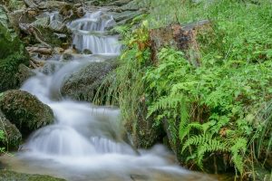Piękne potoki w Górach Sowich